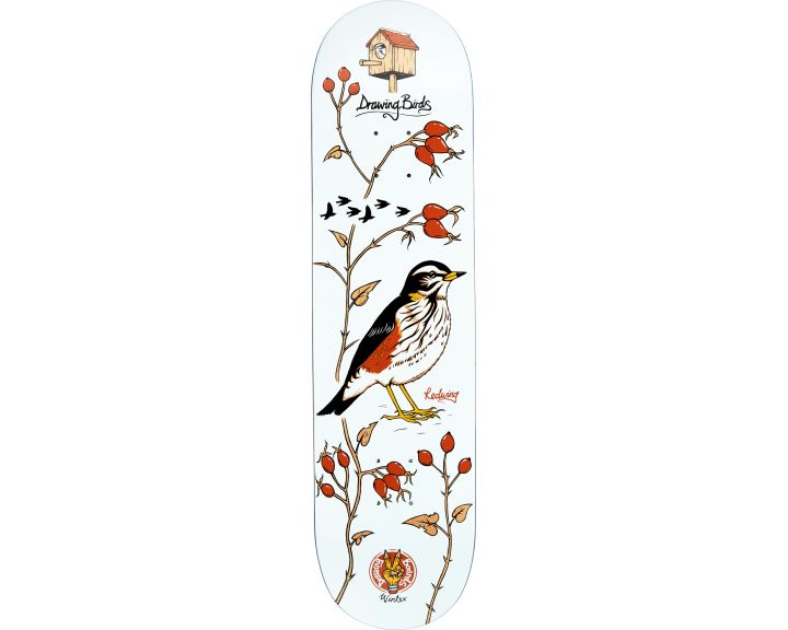 Drawing Boards Birds Series - Redwing (8.5)